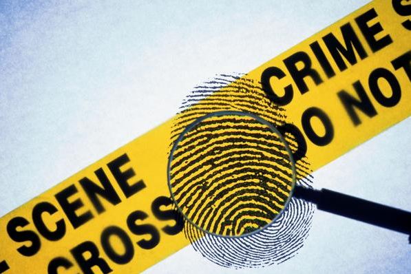 Image result for crime scene