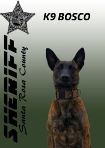 A police dog named bosco from the santa rosa county sheriff's office posing in front of their emblem.