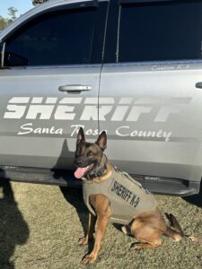 A sheriff's police dog in a vest sits next to a patrol suv labeled "sheriff santa rosa county.
