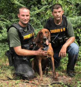 Two sheriff's deputies kneeling in a forest with a bloodhound; all wearing k-9 unit vests.