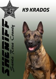 A belgian malinois dog wearing a collar, named k9 krados, with a santa rosa county sheriff's office emblem in the background.