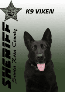 A black german shepherd, identified as "k9 vixen," poses against a green backdrop with the santa rosa county sheriff's logo and text above.